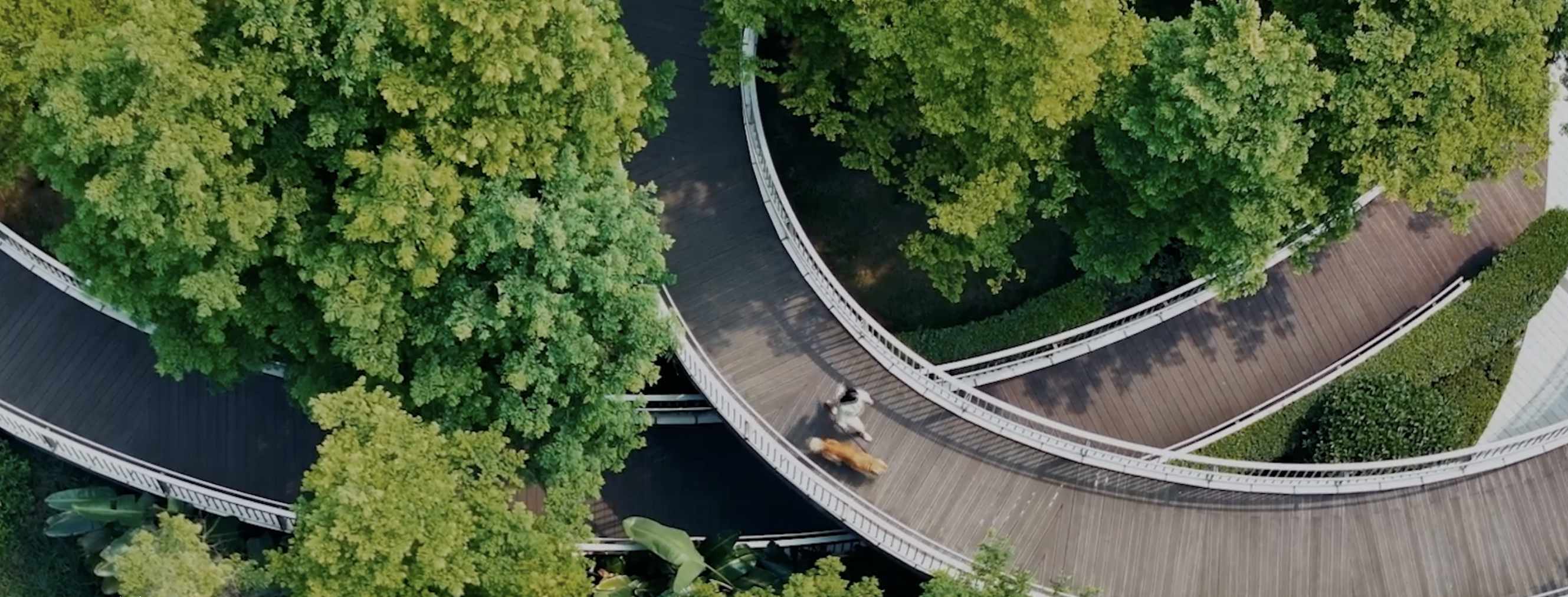 极狐GitLab - 企业级DevOps平台| 极狐GitLab官网