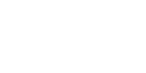 智元